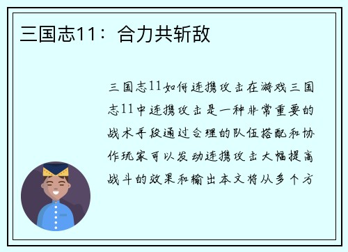 三国志11：合力共斩敌